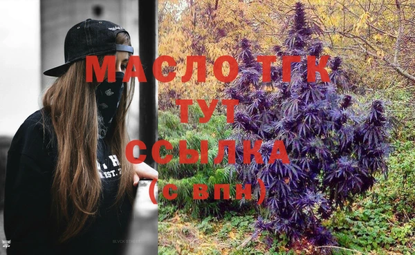 индика Бородино