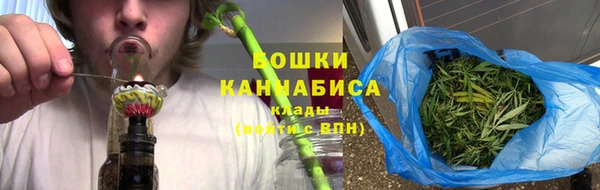 индика Бородино