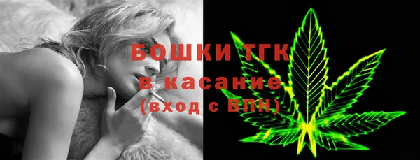 крисы Богородицк