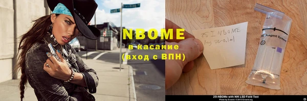 крисы Богородицк