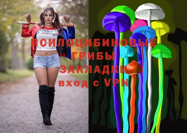 хмурый Белокуриха