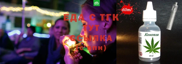 индика Бородино