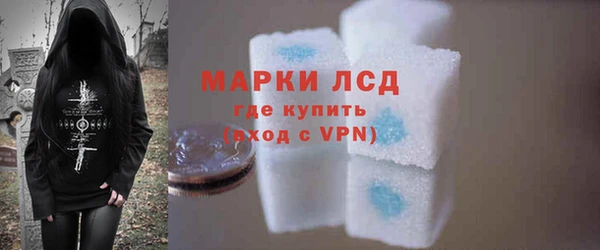 индика Бородино