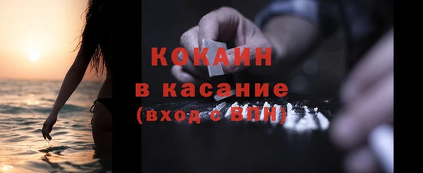 индика Бородино