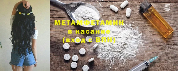 индика Бородино