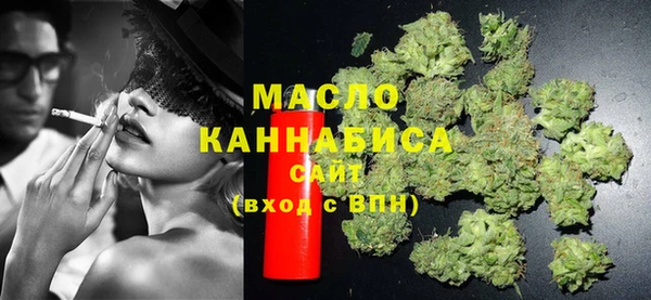индика Бородино