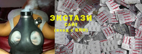 индика Бородино