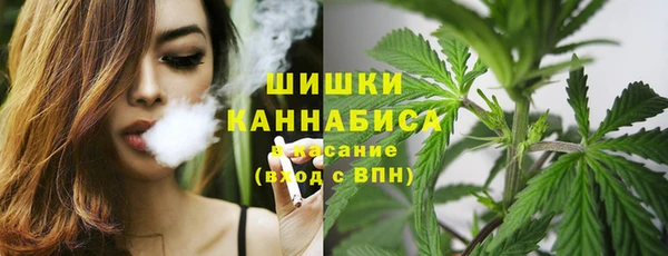 сатива Белоозёрский