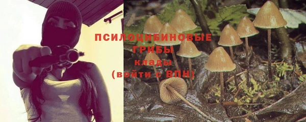 тгк Бугульма
