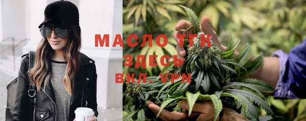 крисы Богородицк