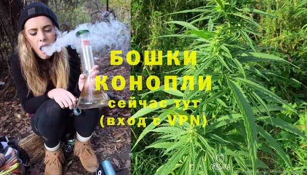 крисы Богородицк