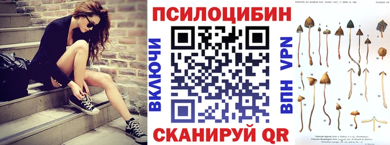 omg ТОР  Ейск  Псилоцибиновые грибы Psilocybe 