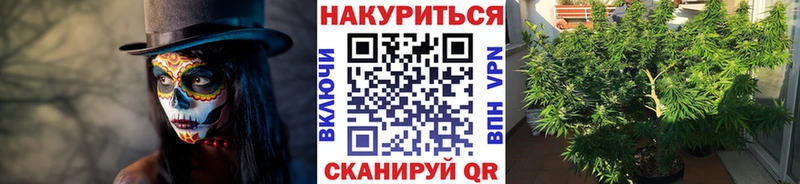 OMG ссылка  купить наркоту  Ейск  Бошки марихуана планчик 